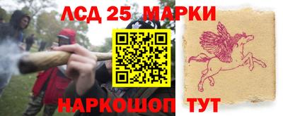 спайс Тара