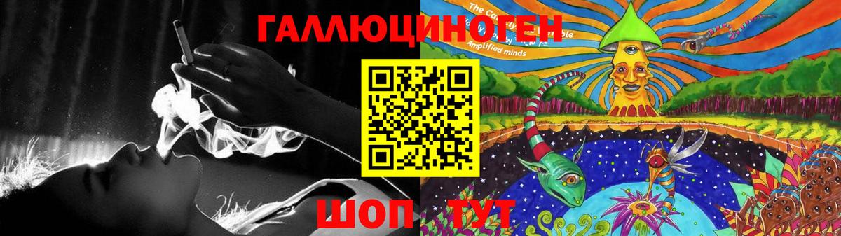 Псилоцибиновые грибы Psilocybe Нурлат