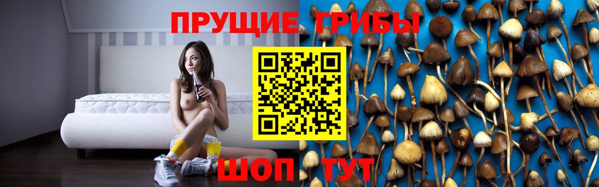 наркотики  Псилоцибиновые грибы Psilocybine cubensis  Вход с VPN  Нурлат 